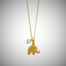 Necklace-in-silver-925-yellow-gold-plated (2)